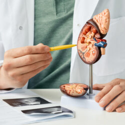 Doctors Receive Nobel Prize for Development in Renal Cell Carcinoma Treatment